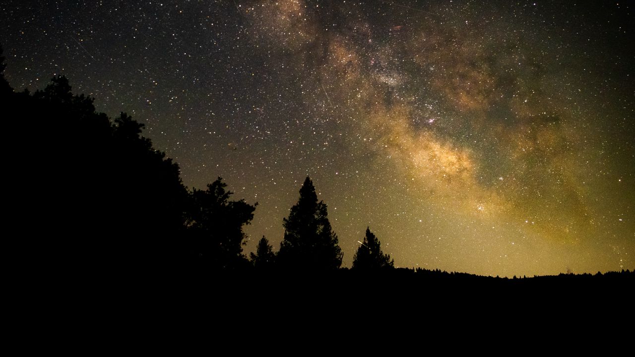 Wallpaper trees, silhouettes, milky way, starry sky, night