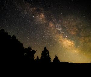 Preview wallpaper trees, silhouettes, milky way, starry sky, night