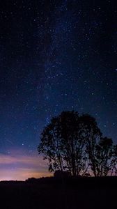 Preview wallpaper trees, silhouettes, milky way, night, starry sky