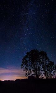 Preview wallpaper trees, silhouettes, milky way, night, starry sky