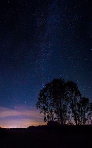 Preview wallpaper trees, silhouettes, milky way, night, starry sky