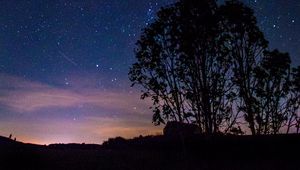 Preview wallpaper trees, silhouettes, milky way, night, starry sky