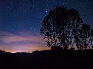 Preview wallpaper trees, silhouettes, milky way, night, starry sky