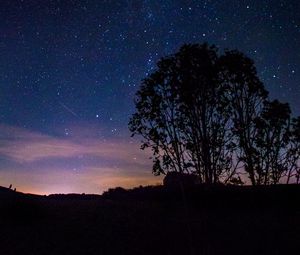 Preview wallpaper trees, silhouettes, milky way, night, starry sky