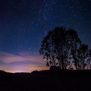 Preview wallpaper trees, silhouettes, milky way, night, starry sky