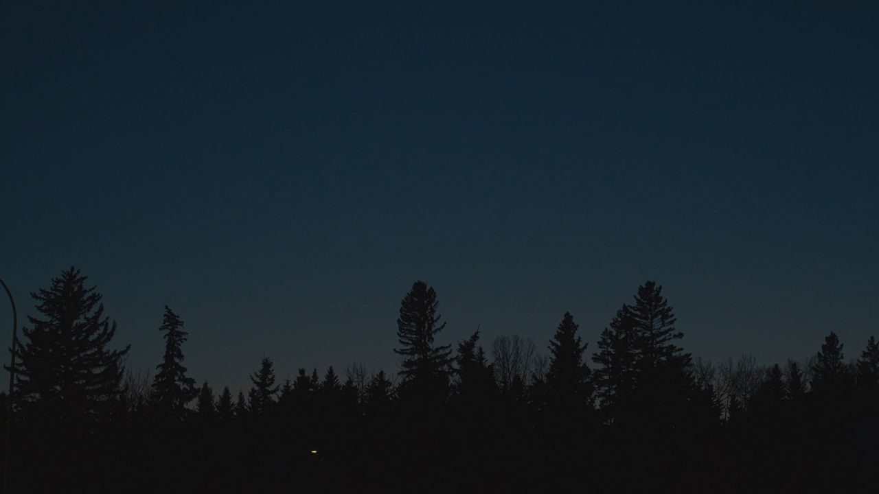Wallpaper trees, silhouettes, moon, night, dark