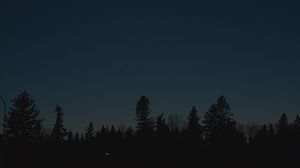Preview wallpaper trees, silhouettes, moon, night, dark
