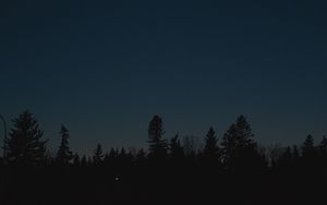 Preview wallpaper trees, silhouettes, moon, night, dark