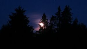Preview wallpaper trees, silhouettes, moon, glow, night, dark