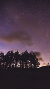 Preview wallpaper trees, silhouettes, night, starry sky, dark