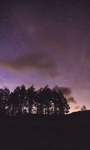 Preview wallpaper trees, silhouettes, night, starry sky, dark