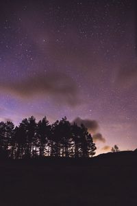 Preview wallpaper trees, silhouettes, night, starry sky, dark