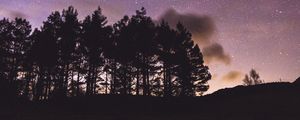 Preview wallpaper trees, silhouettes, night, starry sky, dark