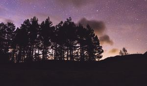 Preview wallpaper trees, silhouettes, night, starry sky, dark