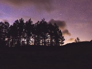 Preview wallpaper trees, silhouettes, night, starry sky, dark