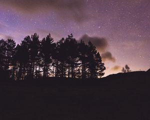 Preview wallpaper trees, silhouettes, night, starry sky, dark