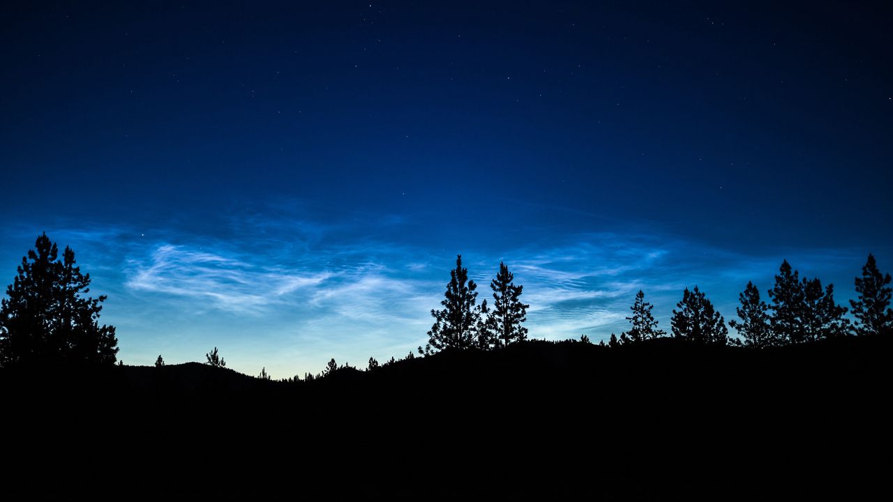 Wallpaper trees, silhouettes, night, dusk, dark