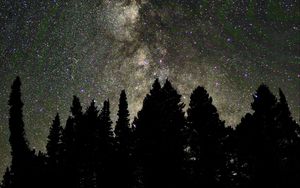 Preview wallpaper trees, silhouettes, night, starry sky