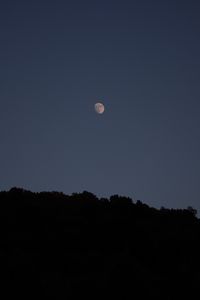 Preview wallpaper trees, silhouettes, night, moon