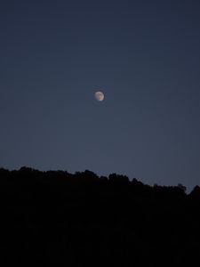 Preview wallpaper trees, silhouettes, night, moon
