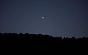 Preview wallpaper trees, silhouettes, night, moon