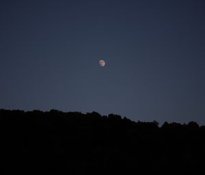 Preview wallpaper trees, silhouettes, night, moon