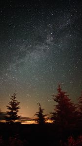Preview wallpaper trees, silhouettes, night, starry sky, nature