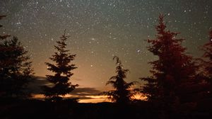 Preview wallpaper trees, silhouettes, night, starry sky, nature