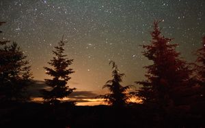 Preview wallpaper trees, silhouettes, night, starry sky, nature