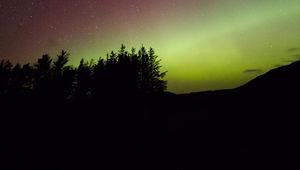 Preview wallpaper trees, silhouettes, night, starry sky, dark, stars
