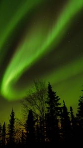 Preview wallpaper trees, silhouettes, northern lights, night, dark