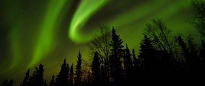 Preview wallpaper trees, silhouettes, northern lights, night, dark