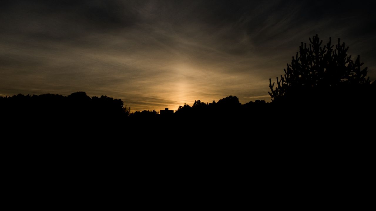 Wallpaper trees, silhouettes, outlines, twilight, dark