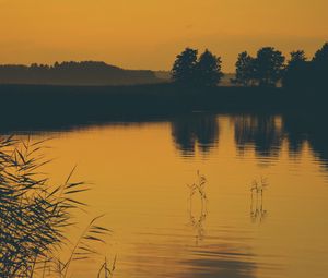 Preview wallpaper trees, silhouettes, pond, twilight, dark