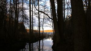 Preview wallpaper trees, silhouettes, river, nature, dark