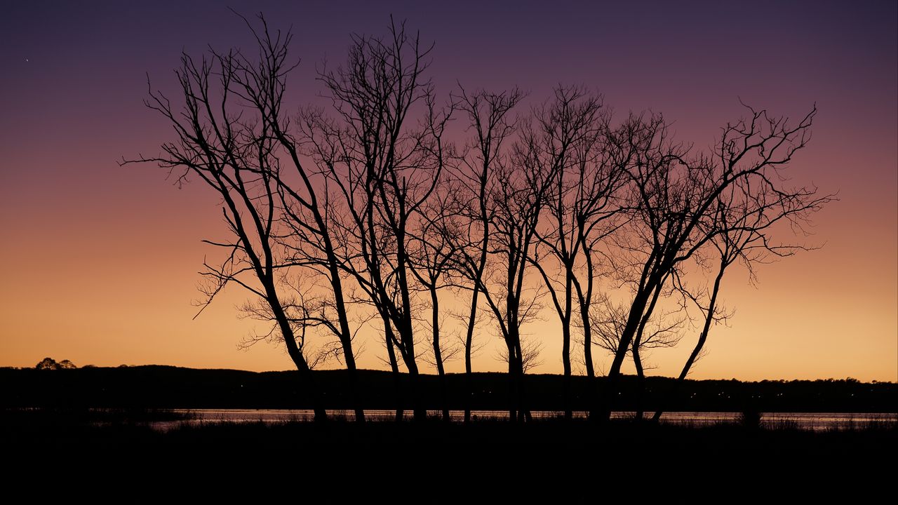 Wallpaper trees, silhouettes, river, reflection, twilight