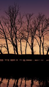 Preview wallpaper trees, silhouettes, river, reflection, twilight