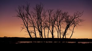 Preview wallpaper trees, silhouettes, river, reflection, twilight