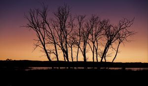 Preview wallpaper trees, silhouettes, river, reflection, twilight