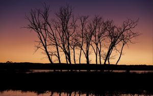 Preview wallpaper trees, silhouettes, river, reflection, twilight