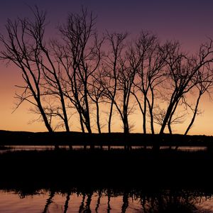 Preview wallpaper trees, silhouettes, river, reflection, twilight