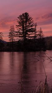 Preview wallpaper trees, silhouettes, river, twilight