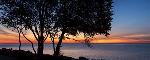 Preview wallpaper trees, silhouettes, sea, water, horizon, sunset, dark