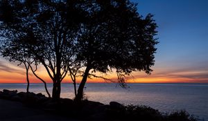 Preview wallpaper trees, silhouettes, sea, water, horizon, sunset, dark