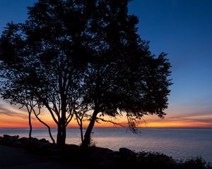 Preview wallpaper trees, silhouettes, sea, water, horizon, sunset, dark