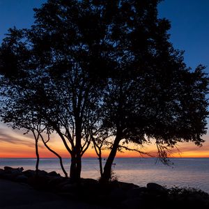 Preview wallpaper trees, silhouettes, sea, water, horizon, sunset, dark