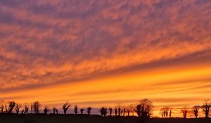 Preview wallpaper trees, silhouettes, sky, evening, dark