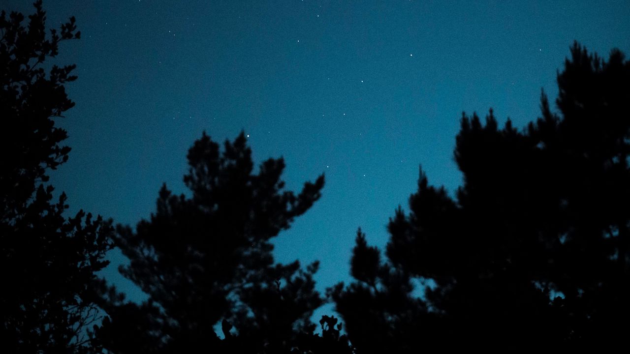 Wallpaper trees, silhouettes, sky, stars, dark