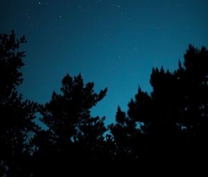 Preview wallpaper trees, silhouettes, sky, stars, dark