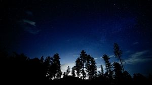 Preview wallpaper trees, silhouettes, sky, night, dark